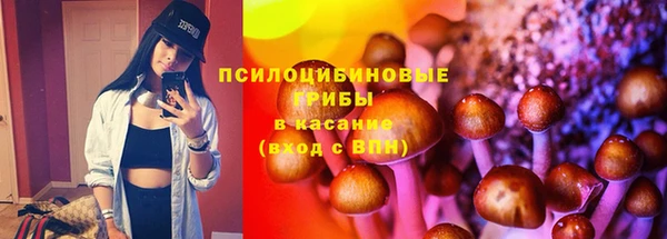 сатива Абдулино