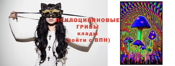 ГАЛЛЮЦИНОГЕННЫЕ ГРИБЫ Алексеевка