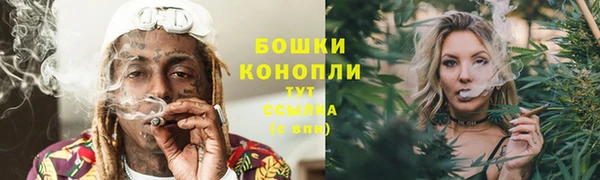 сатива Абдулино